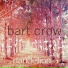 Bart Crow Band