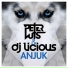 Peter Luts, DJ Licious