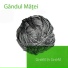 Gindul Mitei