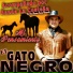 El Gato Negro