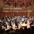 Orchestra Senzaspine, Guido De Gaetano