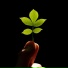 The Osho Lifestyle
