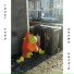 Trust Fund