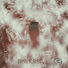Drone Florida
