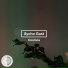 Sycho Gast, Brunch Collect