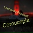 Leonardo Pancaldi