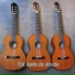 Trio Casino de Arecibo