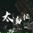 王耀东, 花哨