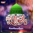 Amir Anwar Qadri