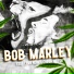 Various Artists feat. MC RF3, MC Belko