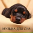 Музыка для Сна