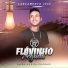 Flávinho Pegada