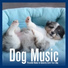 Relax My Dog, Dog Music Dreams