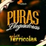 Los Terricolas