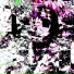 incasation, DJ Severny
