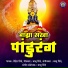 Rohit Shinde