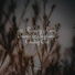 Ambient Arena, Rain Man Sounds, Nature Ambience