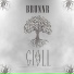 Brunnr