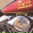 Divin' Ducks