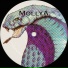 MollyA