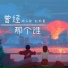 胡子歌, 赵雨星