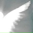 moshc0re