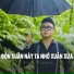 Linh Nguyễn