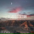Aurora-bird