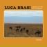 Luca Brasi