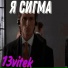 13vitek