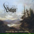 Pitch Hammer Music