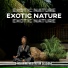 Relaxing Nature Sounds Collection