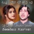 Zeeshan Marwat