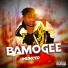 Bamogee feat. Akanetigba