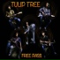Tulip Tree