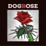 Dogrose