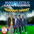 Nuevo Estilo Carapegueño