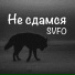 SVFO