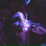 1nzzident feat. PXRFXCT