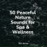 Yoga Sounds, Zen Music Garden, Nature and Rain
