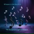 THE SOULPHONIC LIGHT ORCHESTRA