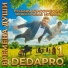 DEDAPRO