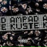 AMPAD, Kuste