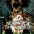 North Of The Woods