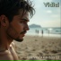 Vidici