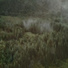 NORTH