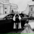 亗 LEGEND 亗