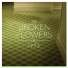The Broken Flowers Project feat. David Velasco