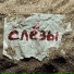 esheimd