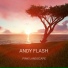 Andy Flash
